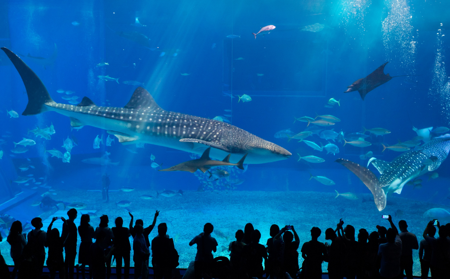 沖縄 - セカクル！